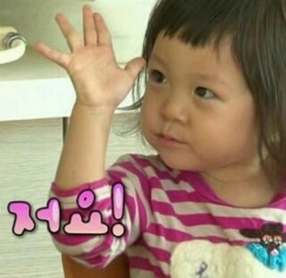 폼(FORM) 이미지