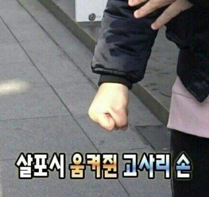 유*일 이미지