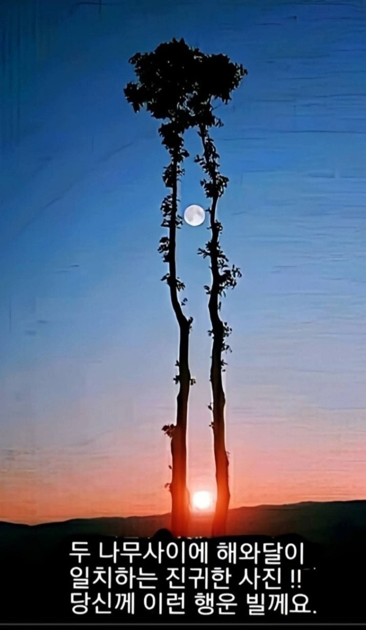 해와달 이미지