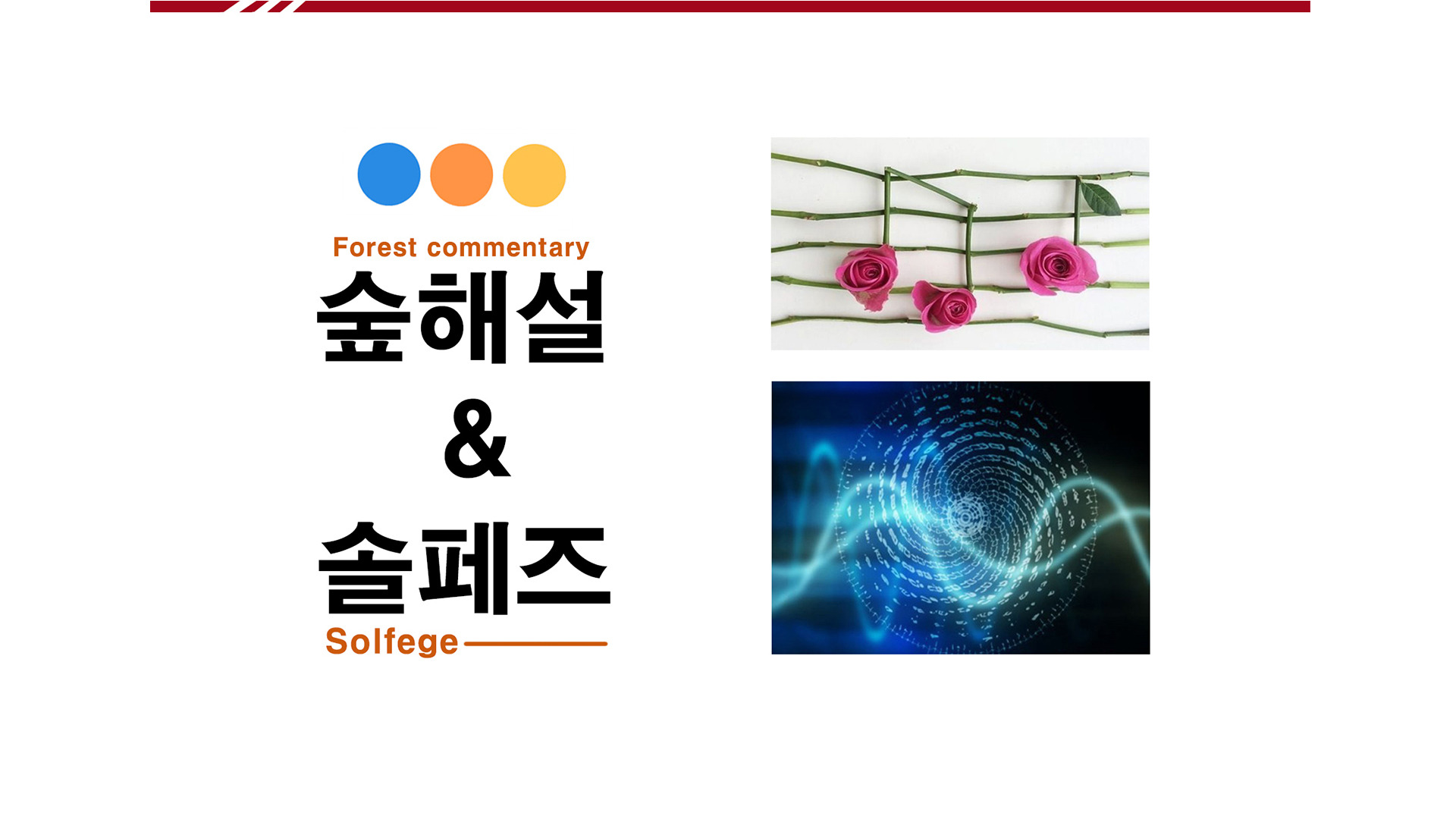 팬타곤숲이야기 이미지