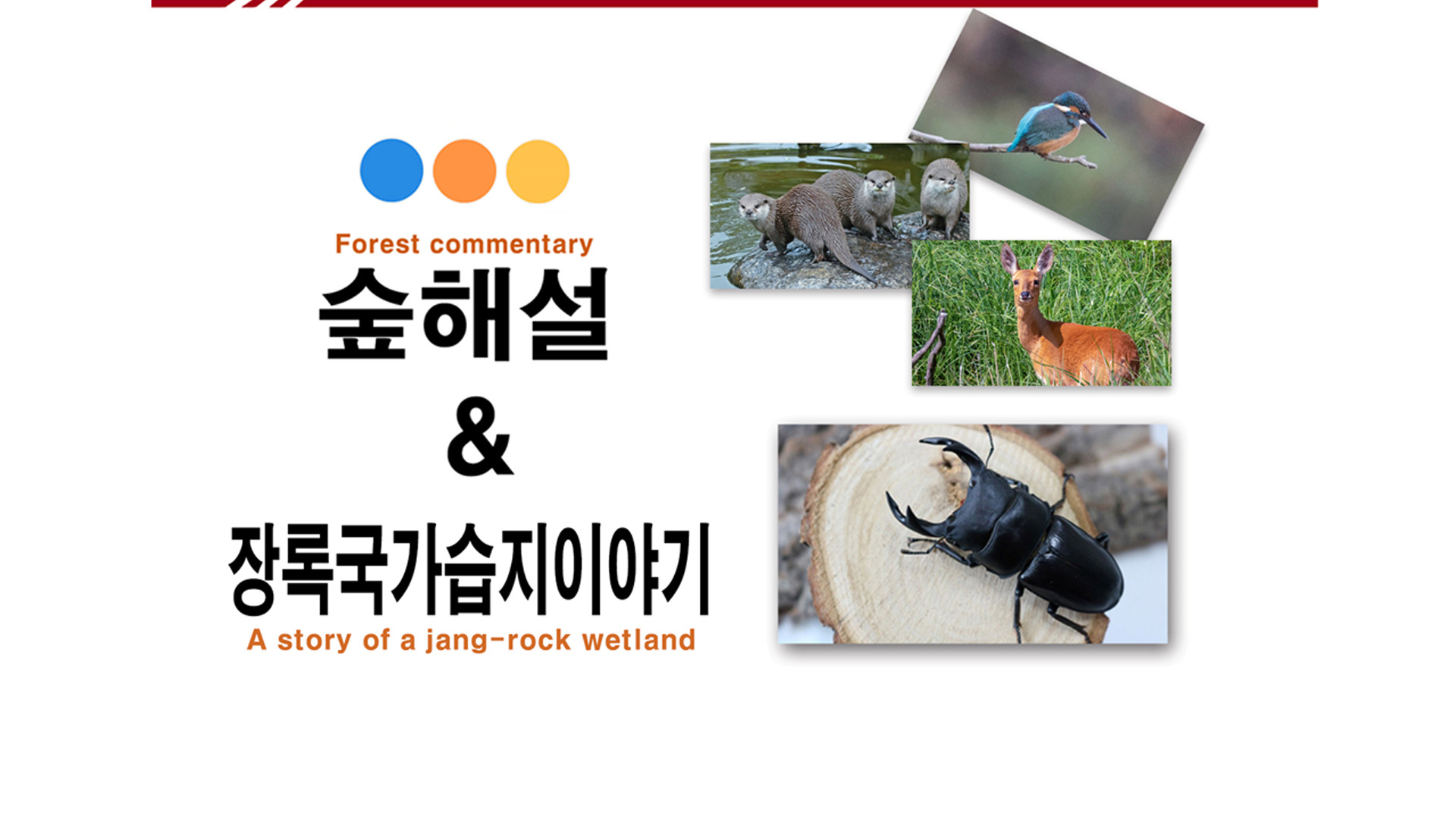 팬타곤숲이야기 이미지
