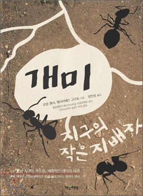 개미 이미지