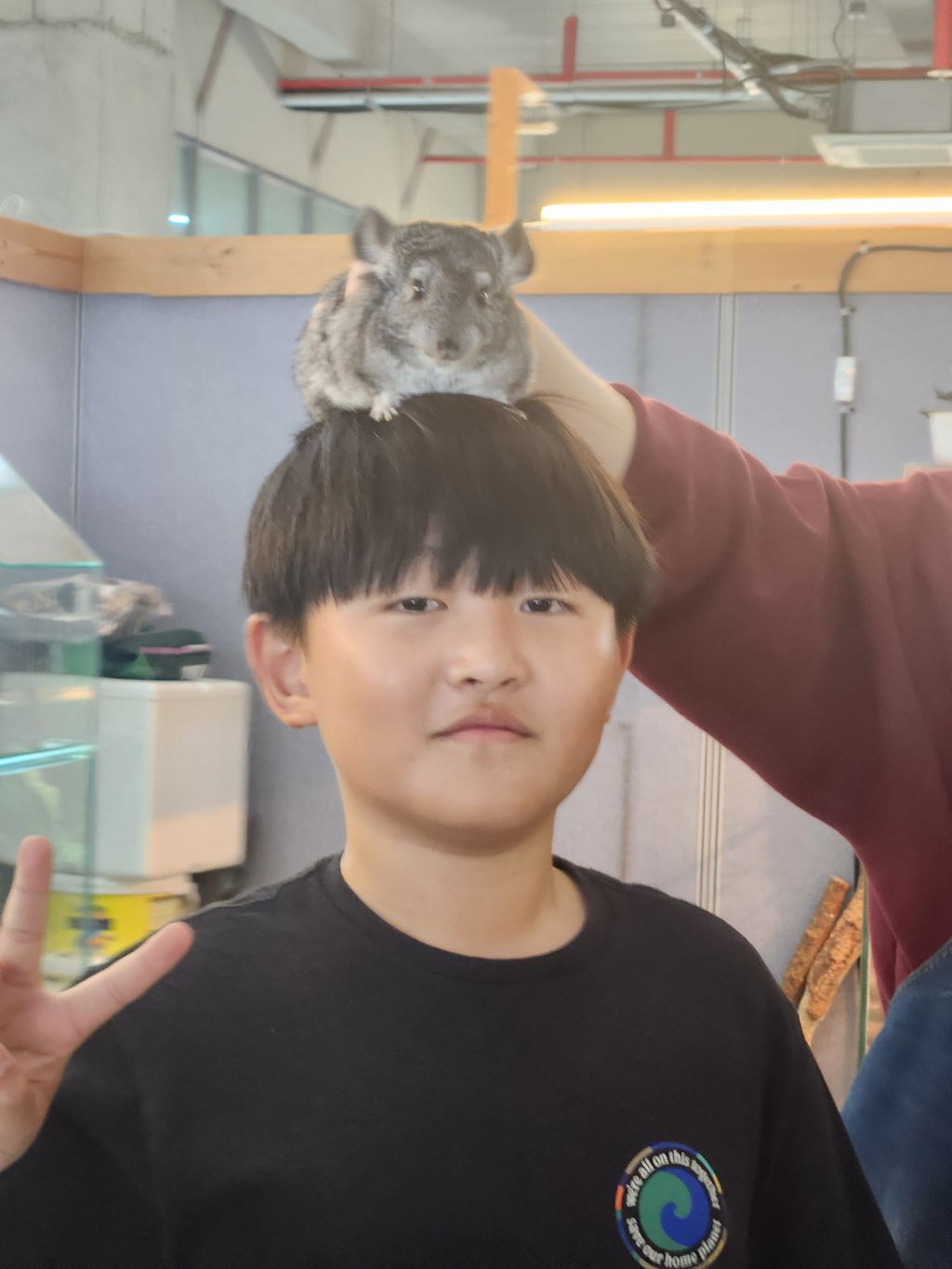 다솜생태관 이미지
