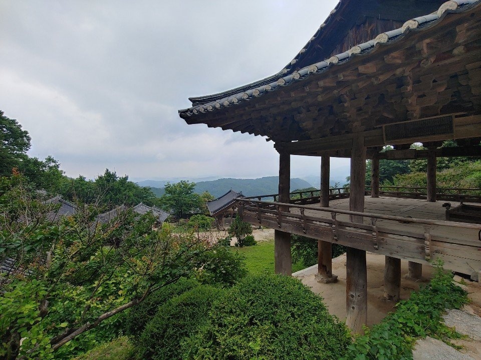 금타카페 이미지