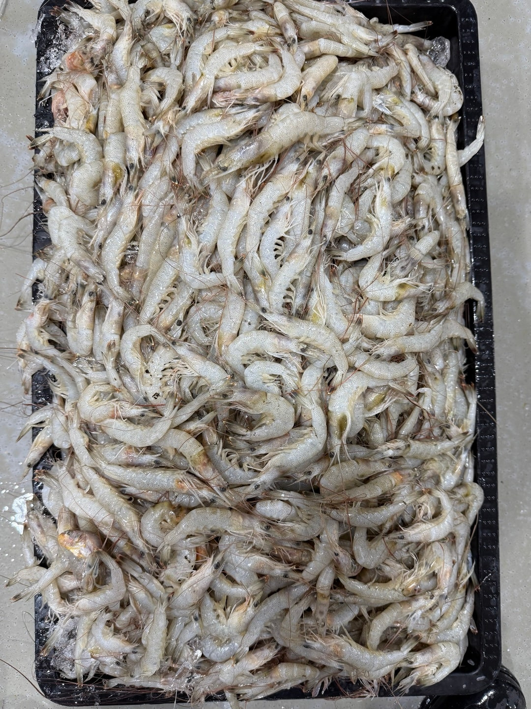 중화 이미지