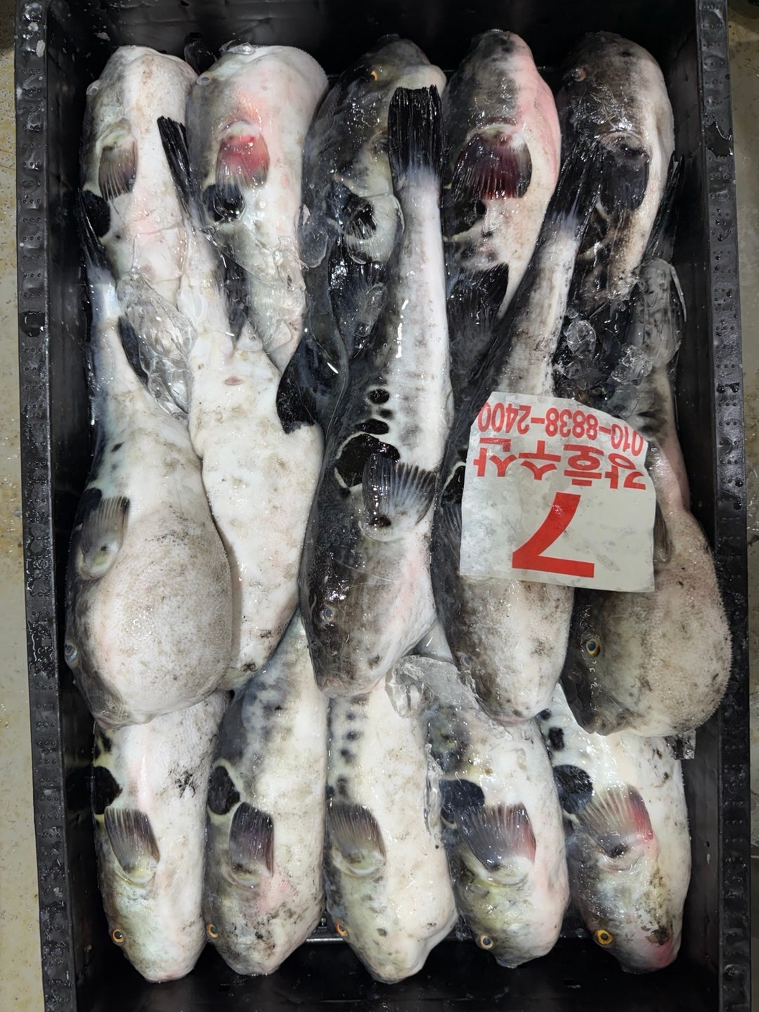 금복 이미지