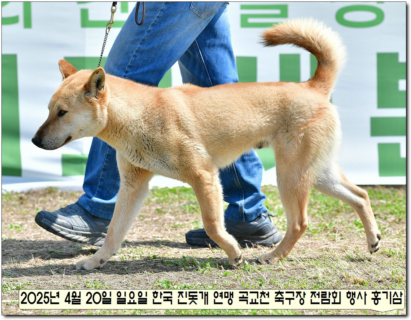 성웅 이미지
