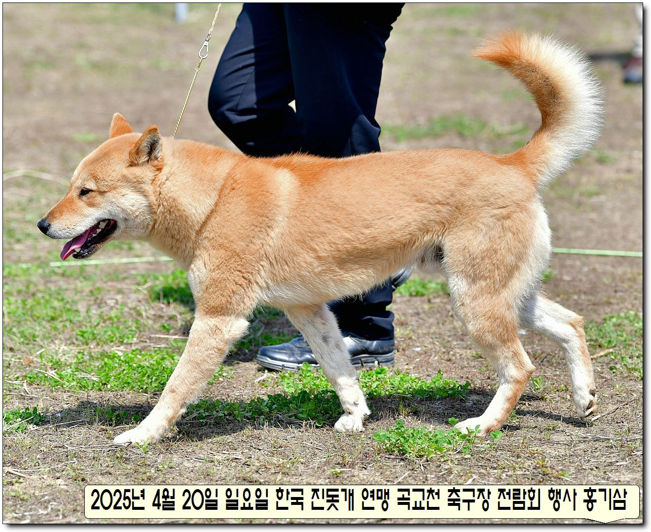 성웅 이미지