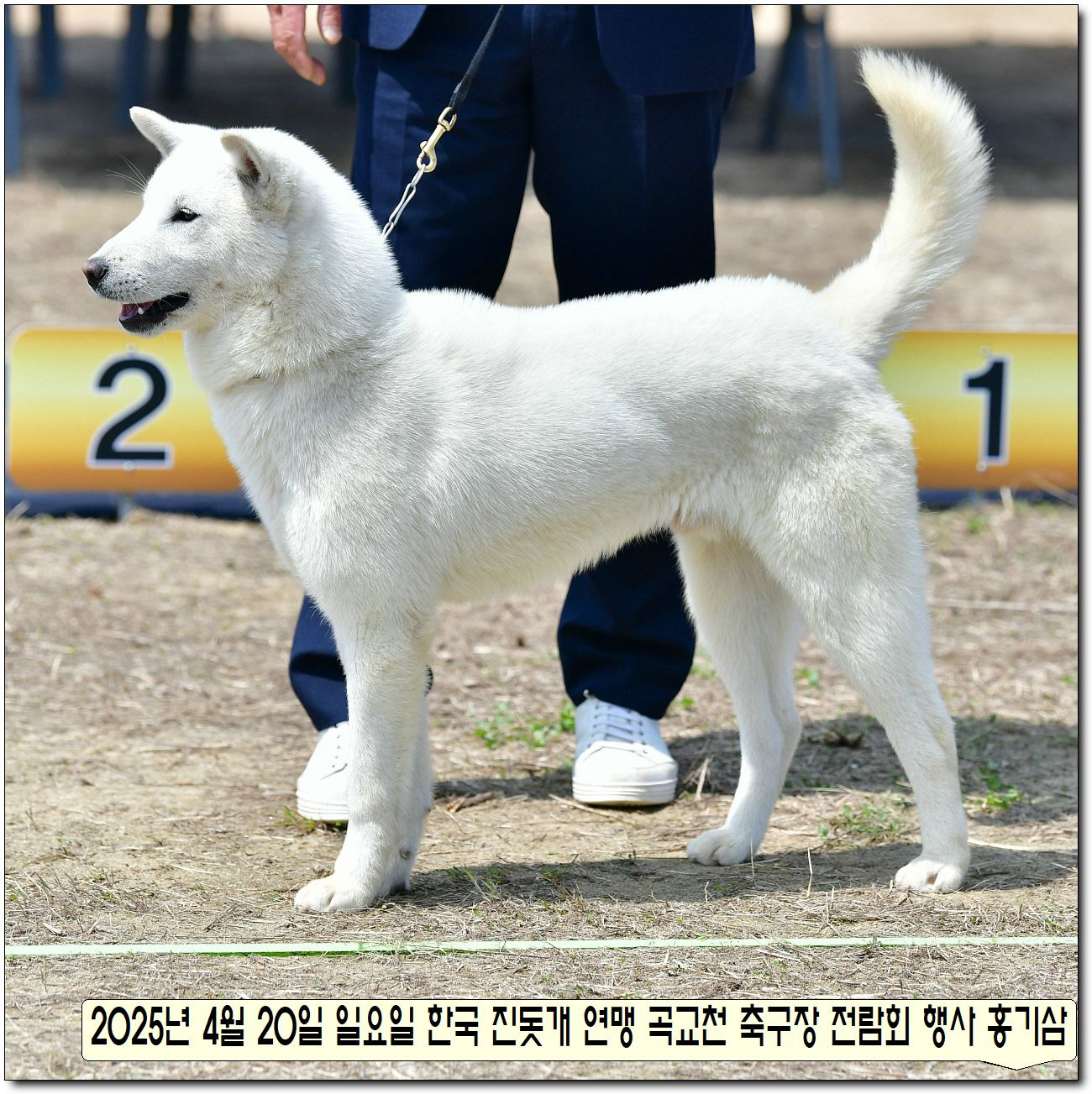 수컷 이미지