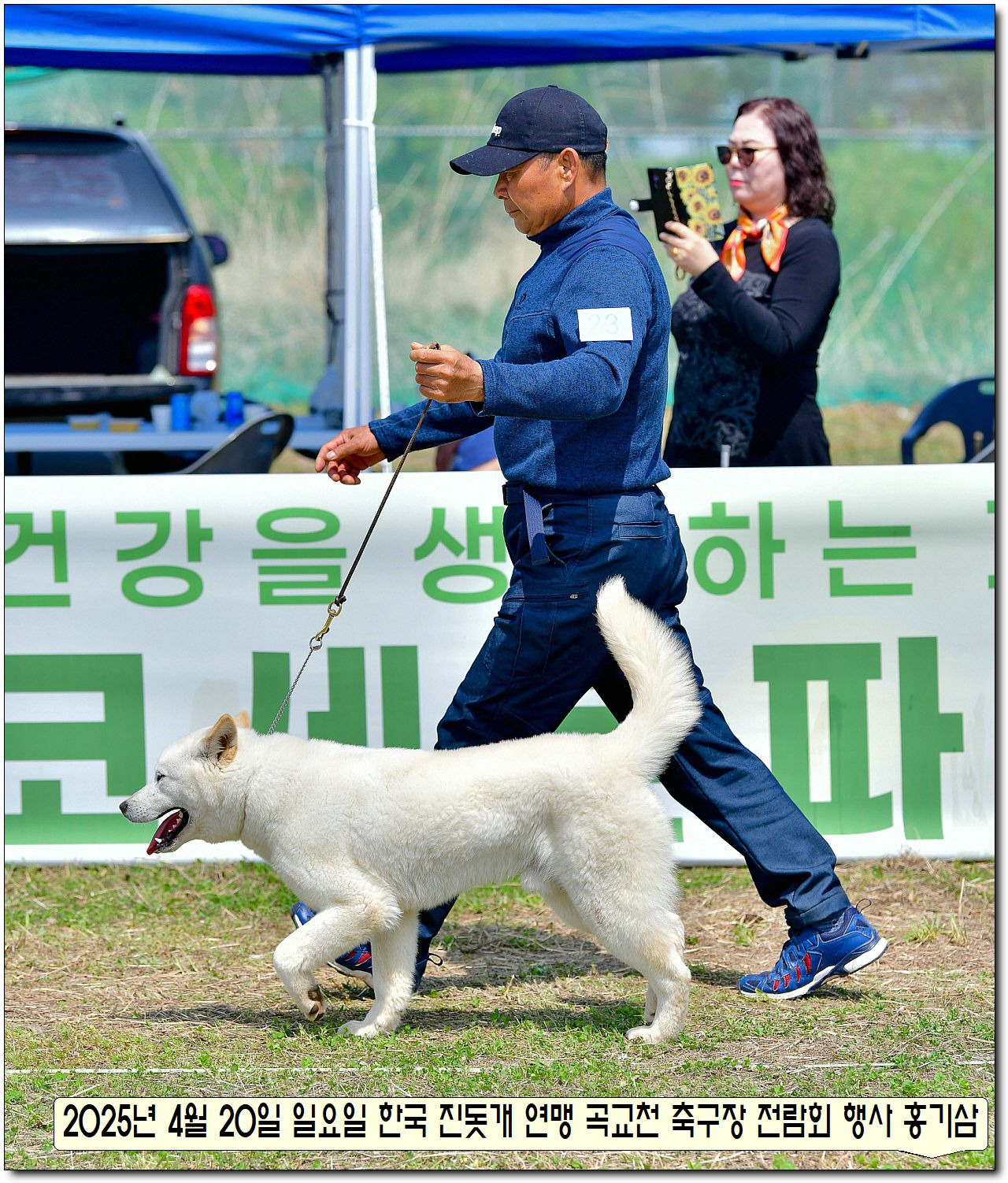 수컷 이미지