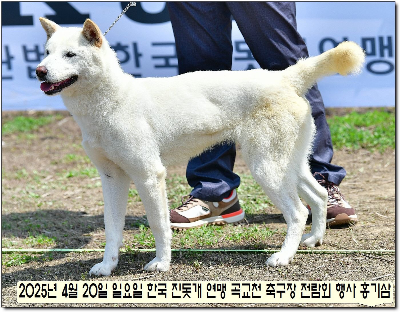 성웅 이미지