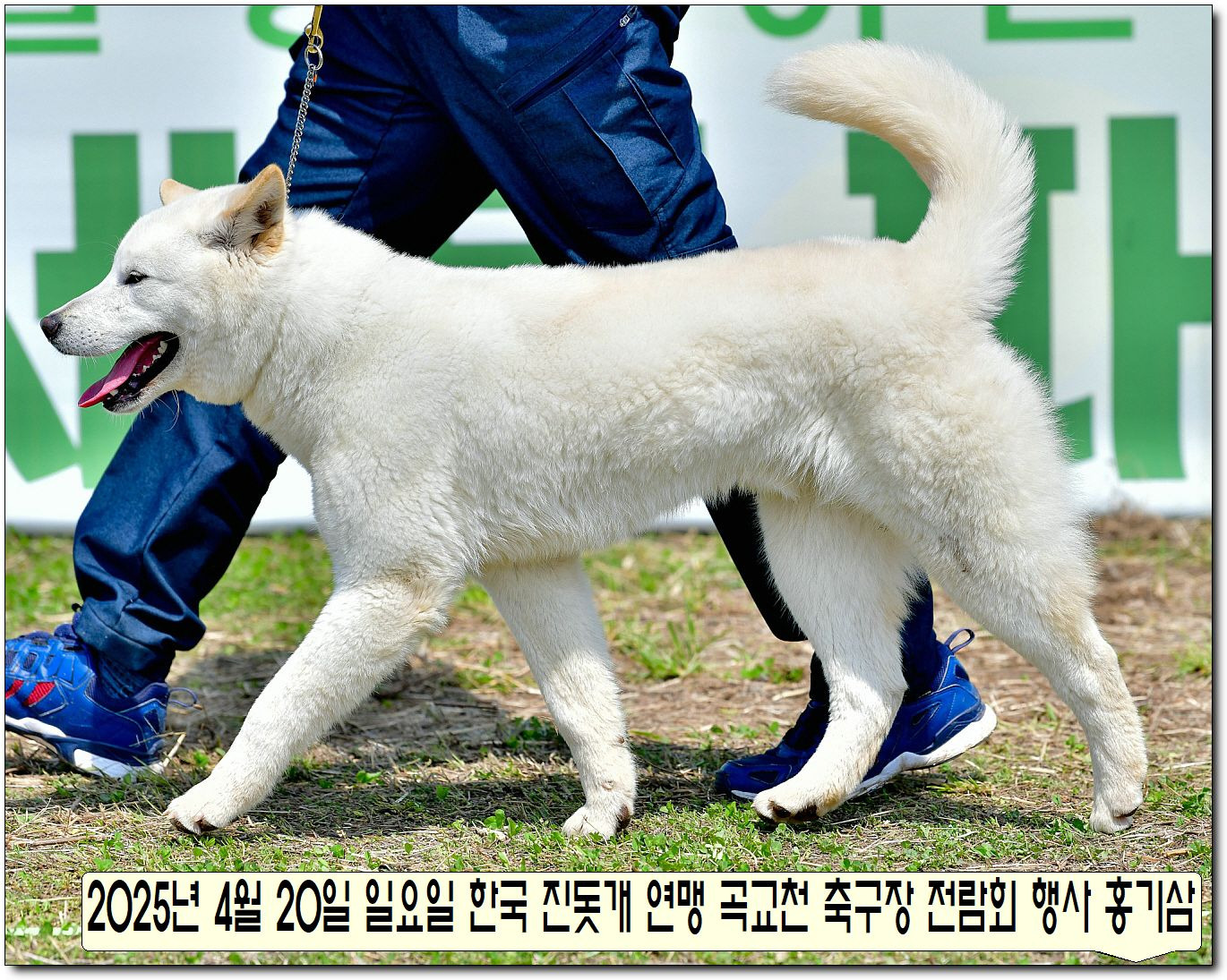 수컷 이미지