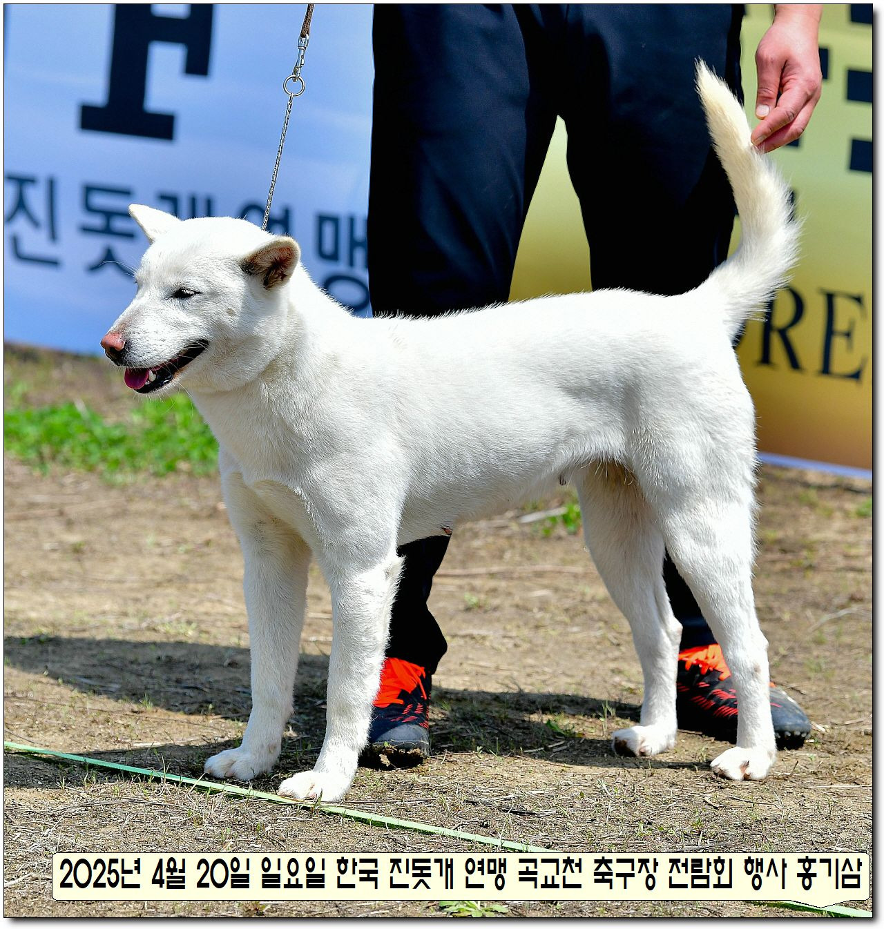 성웅 이미지