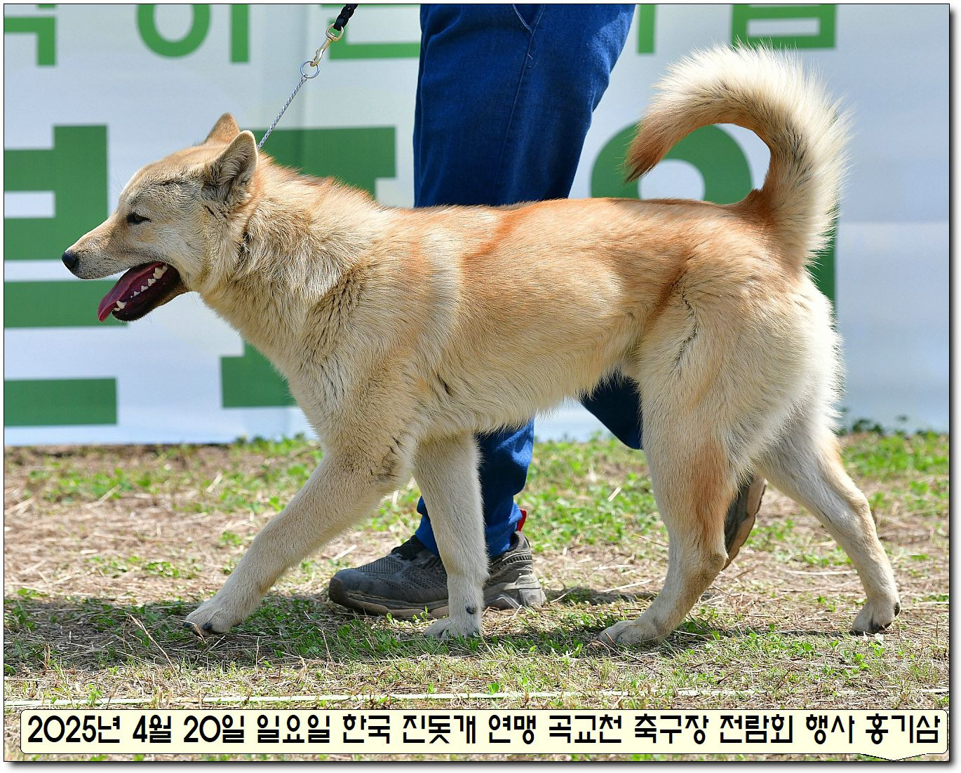 수컷 이미지