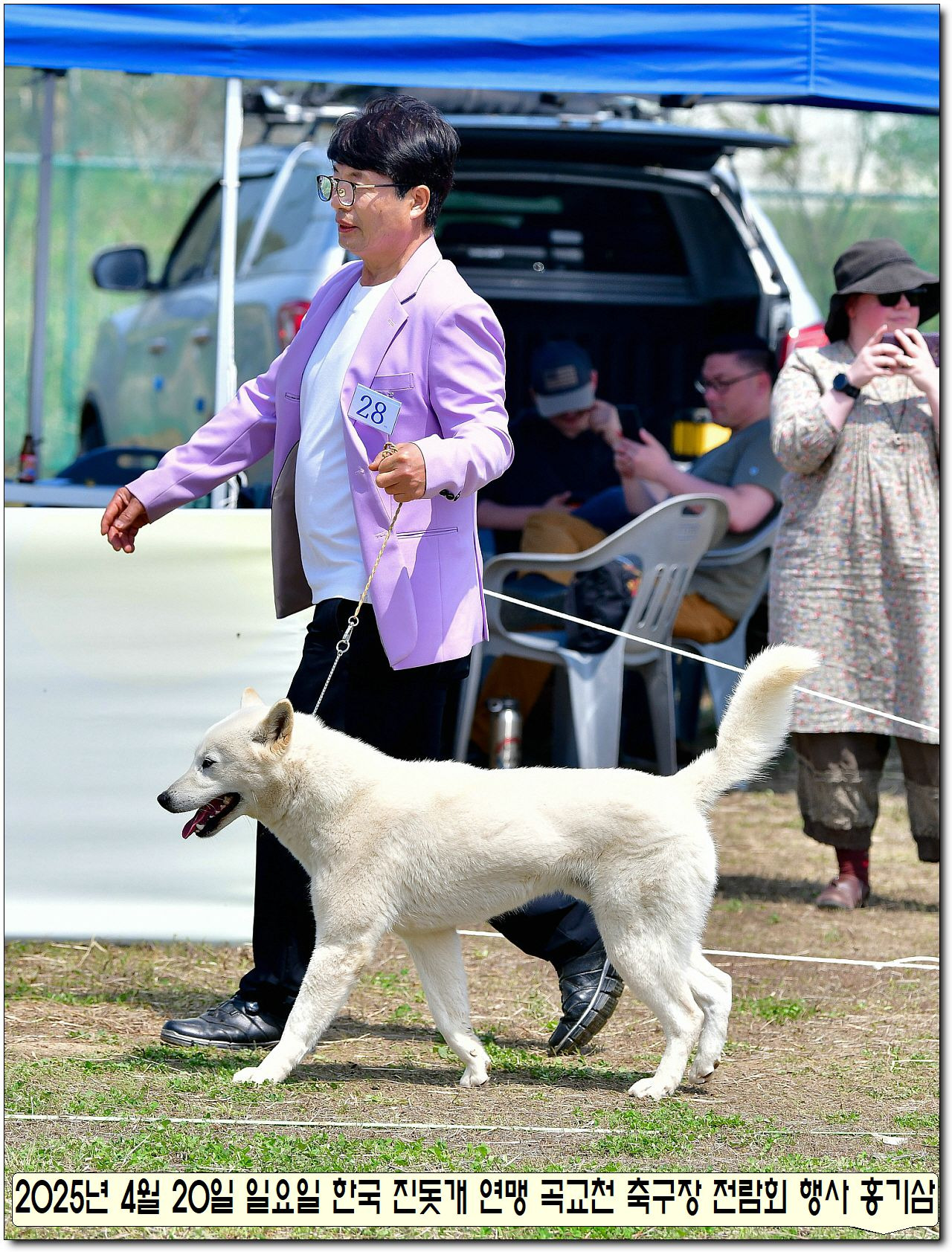 수컷 이미지