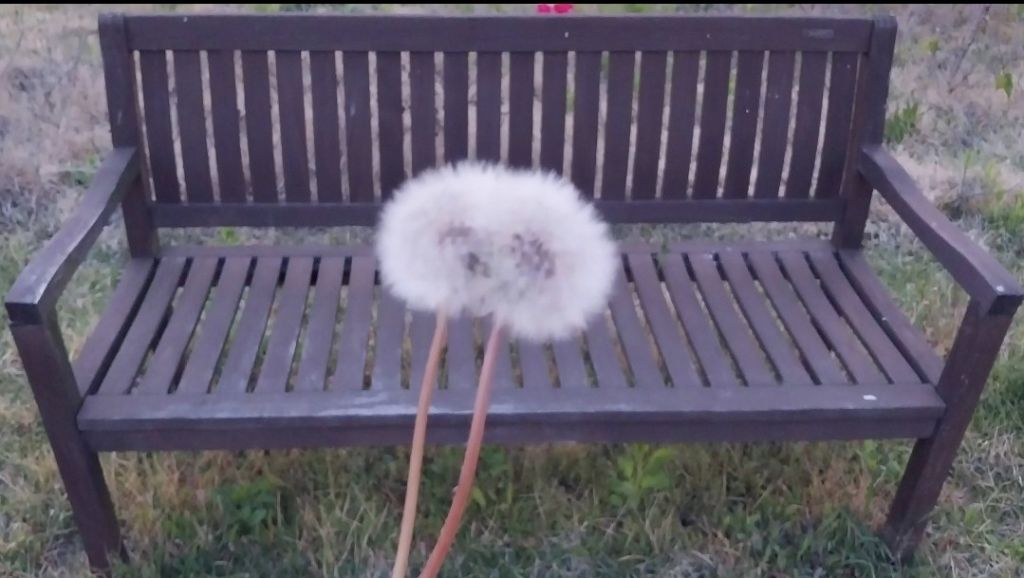 바람자리 이미지