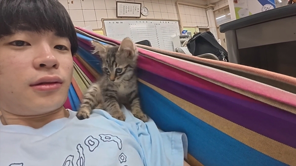 아기 고양이 냥줍했는데 반응 난리난 일본 유튜버.jpg | 인스티즈