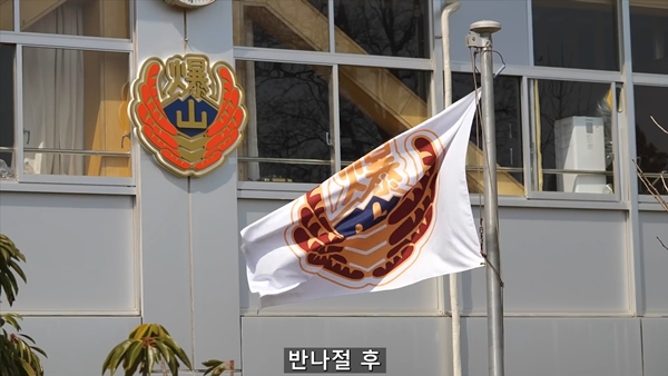 아기 고양이 냥줍했는데 반응 난리난 일본 유튜버.jpg | 인스티즈