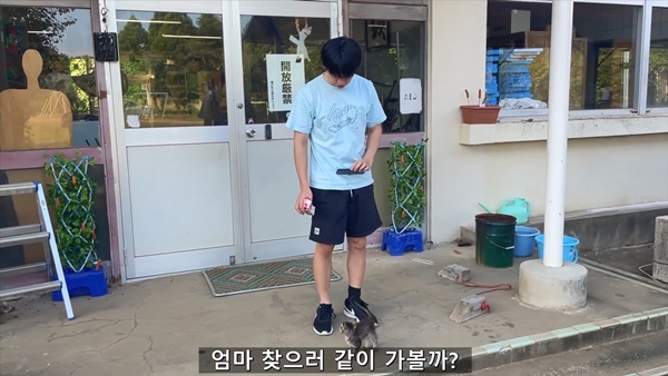 아기 고양이 냥줍했는데 반응 난리난 일본 유튜버.jpg | 인스티즈