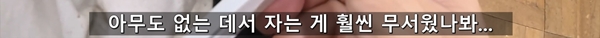 아기 고양이 냥줍했는데 반응 난리난 일본 유튜버.jpg | 인스티즈