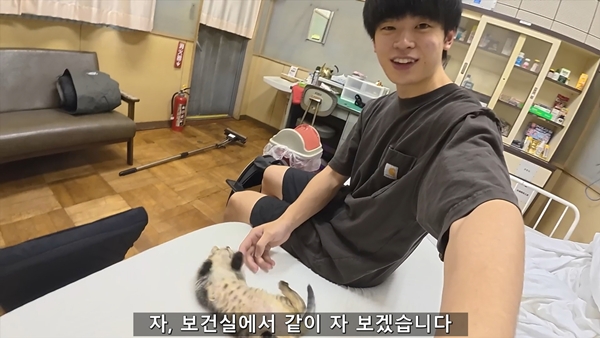 아기 고양이 냥줍했는데 반응 난리난 일본 유튜버.jpg | 인스티즈