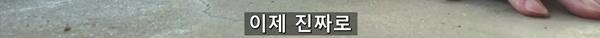 아기 고양이 냥줍했는데 반응 난리난 일본 유튜버.jpg | 인스티즈