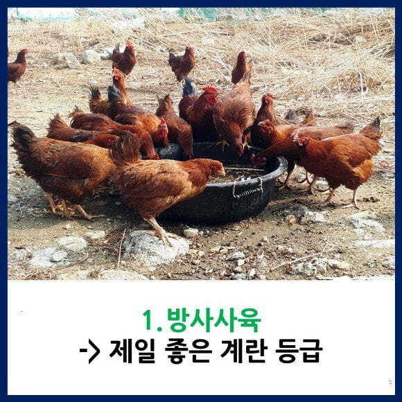 정보 이미지