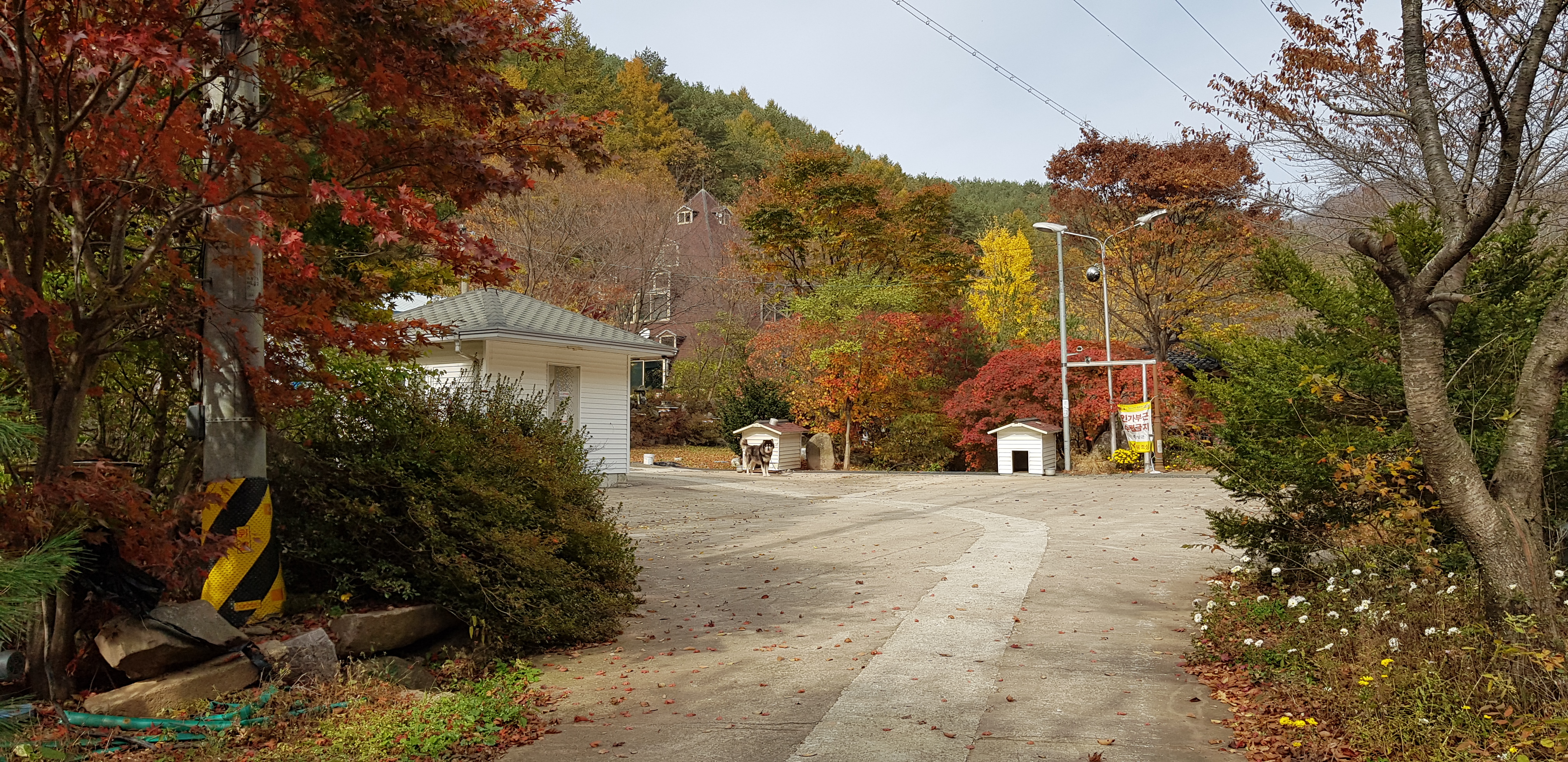 진주농장 이미지