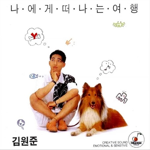 LP 필름 이미지