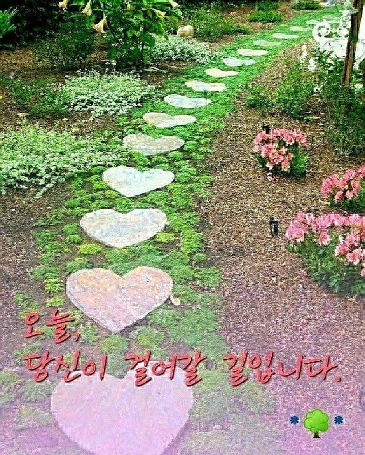 가본 이미지