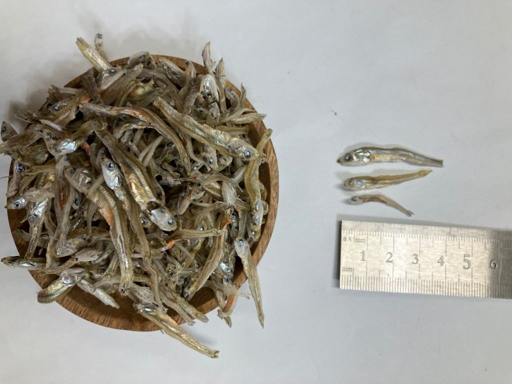 고바이제이 이미지