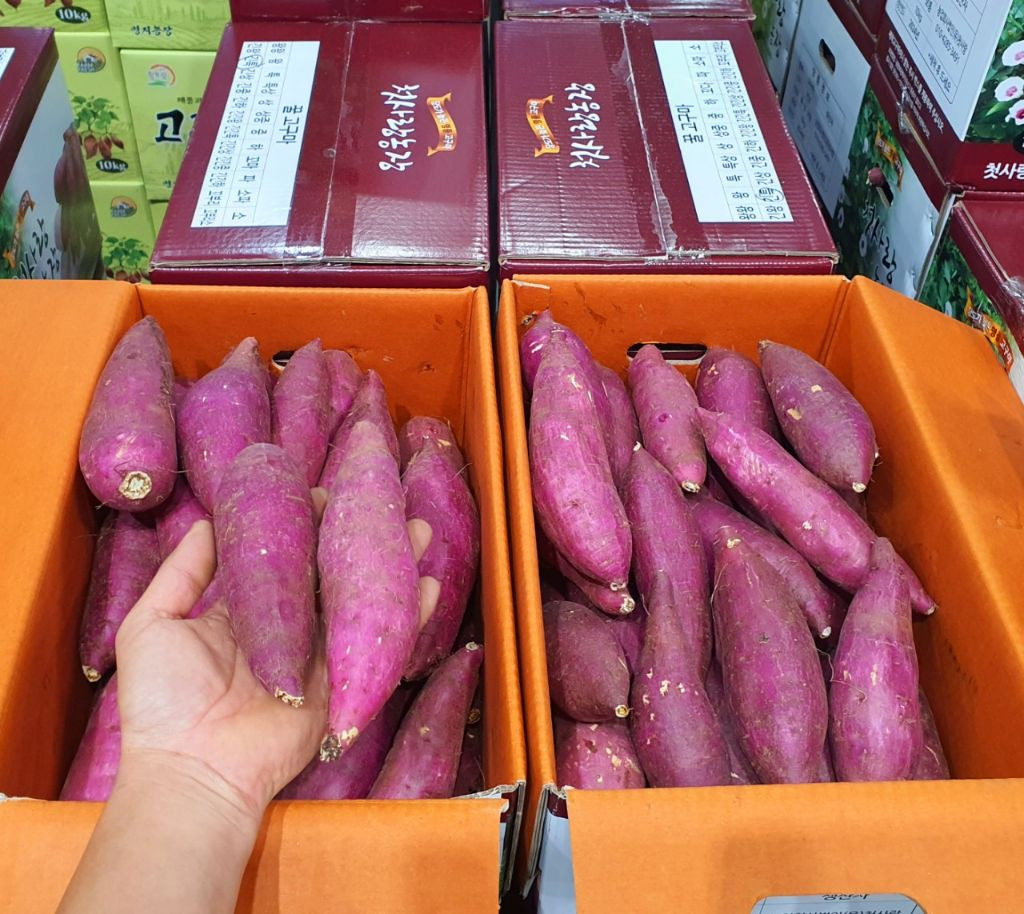 꿀밤 이미지