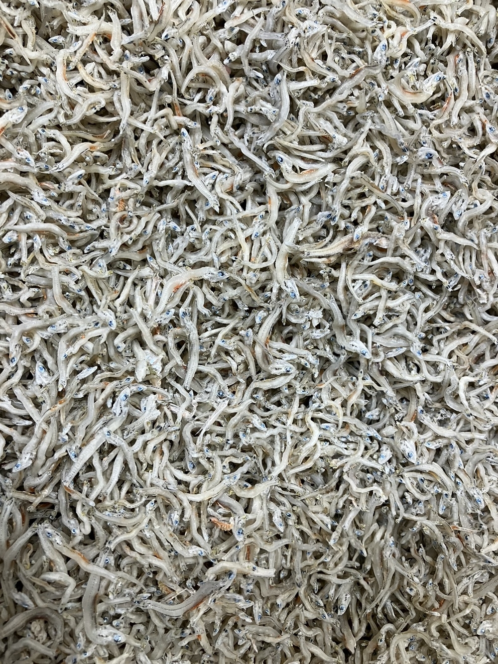 고바이제이 이미지