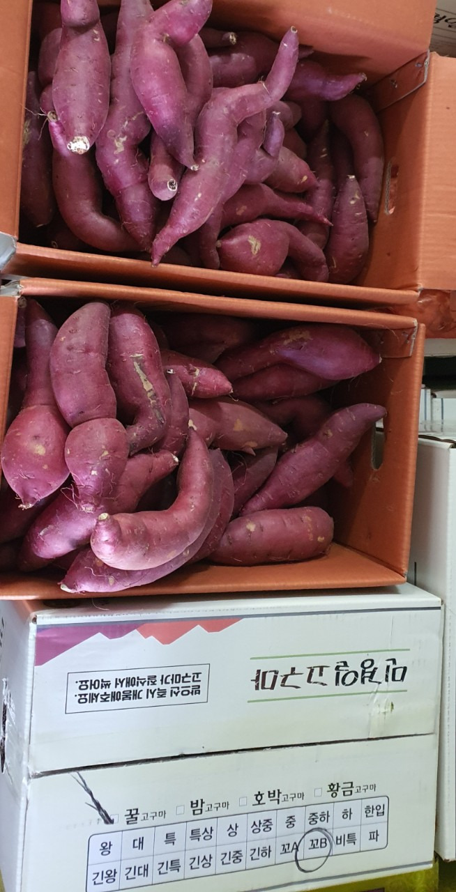 꼬불이네 이미지