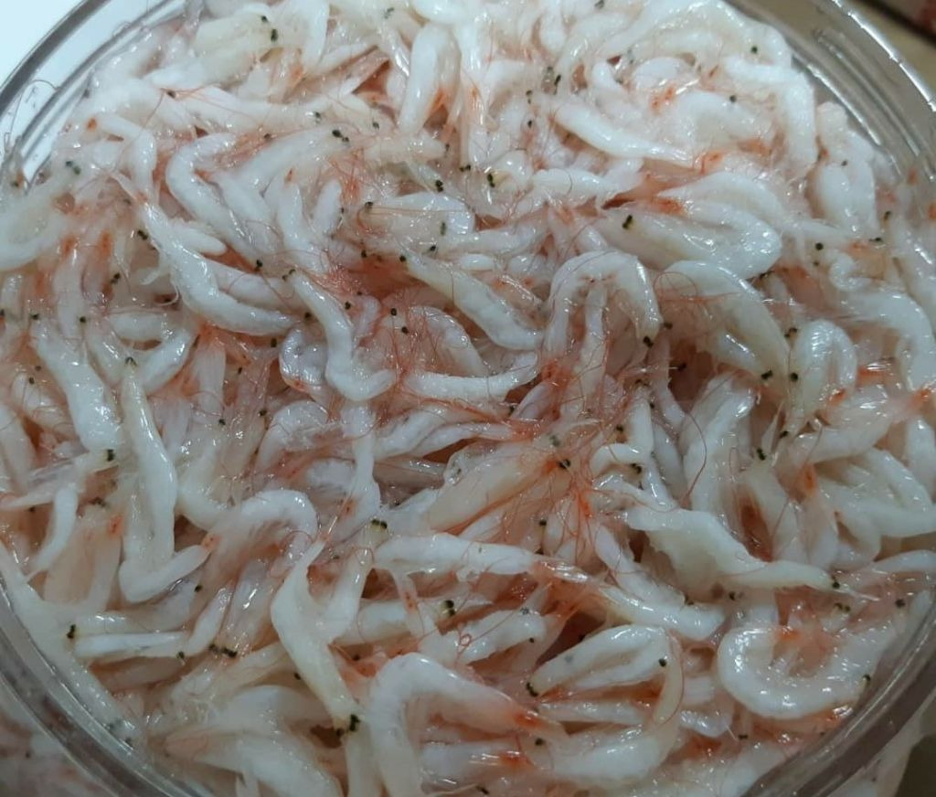 신안새우젓 이미지