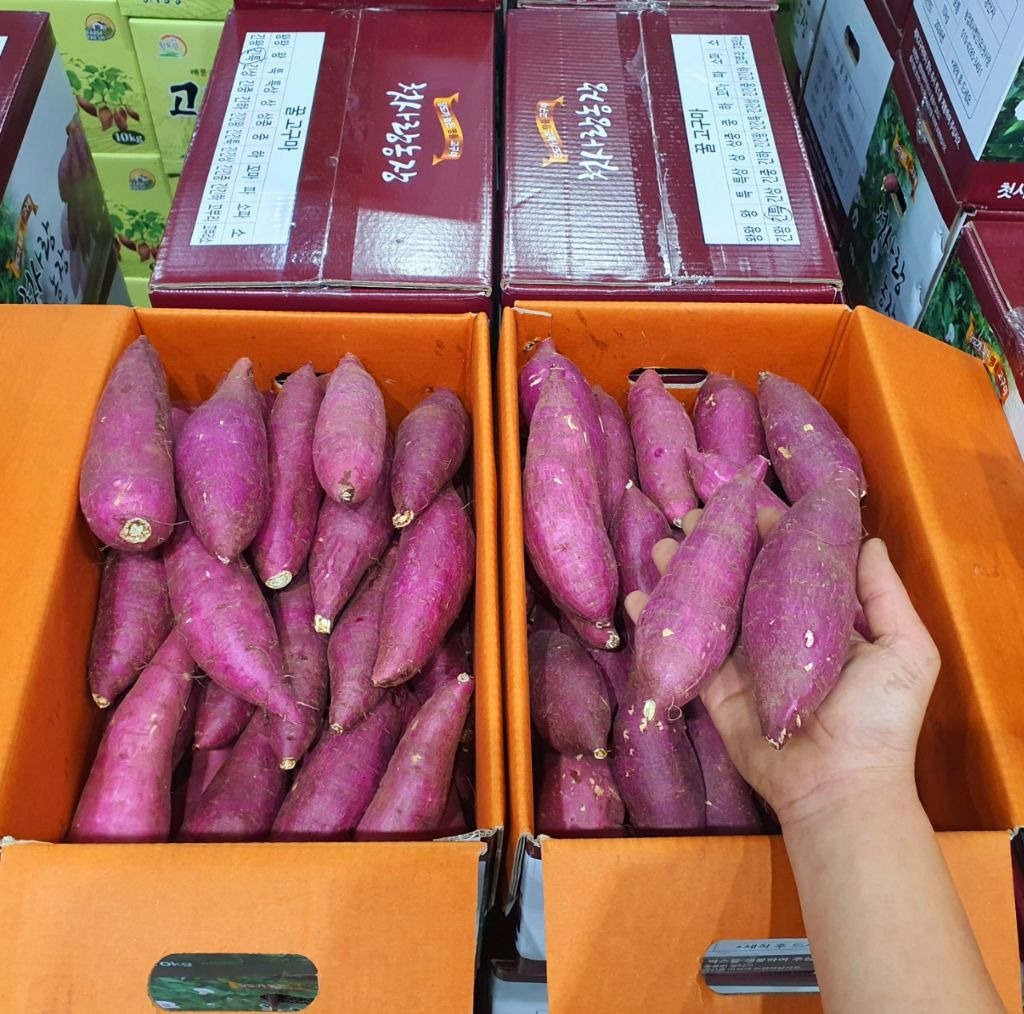 꿀밤 이미지