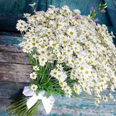 누군가의 꽃 이미지