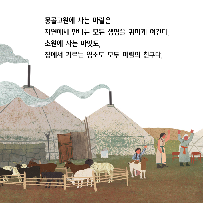 보로 이미지