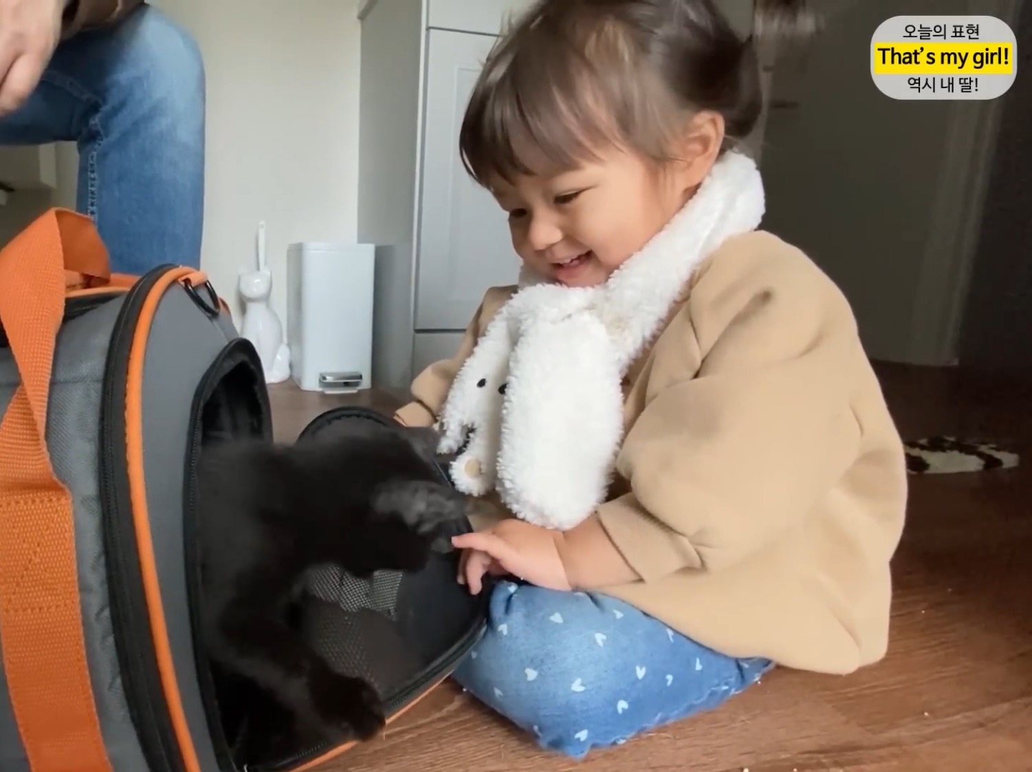 체리 자기가 숯이 주인이라고 생각하나봐 ㅋㅋㅋㅋ 병원 가는데 생이별인줄 알고 대성통곡ㅋㅋㅋㅋ | 인스티즈