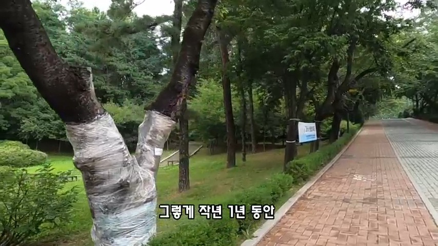 40대 중소기업 해고 시그널 | 인스티즈