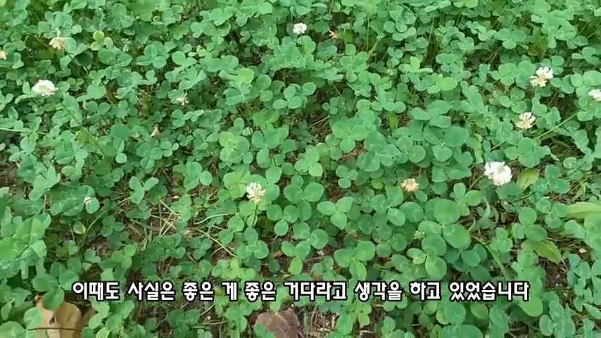 40대 중소기업 해고 시그널 | 인스티즈