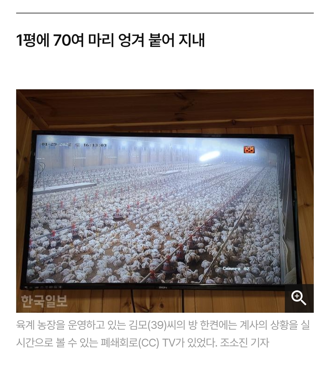 닭달치킨 이미지