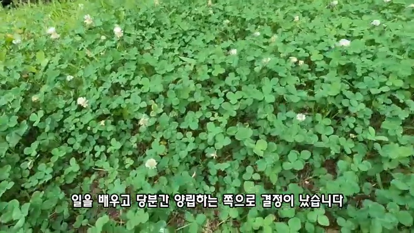 40대 중소기업 해고 시그널 | 인스티즈