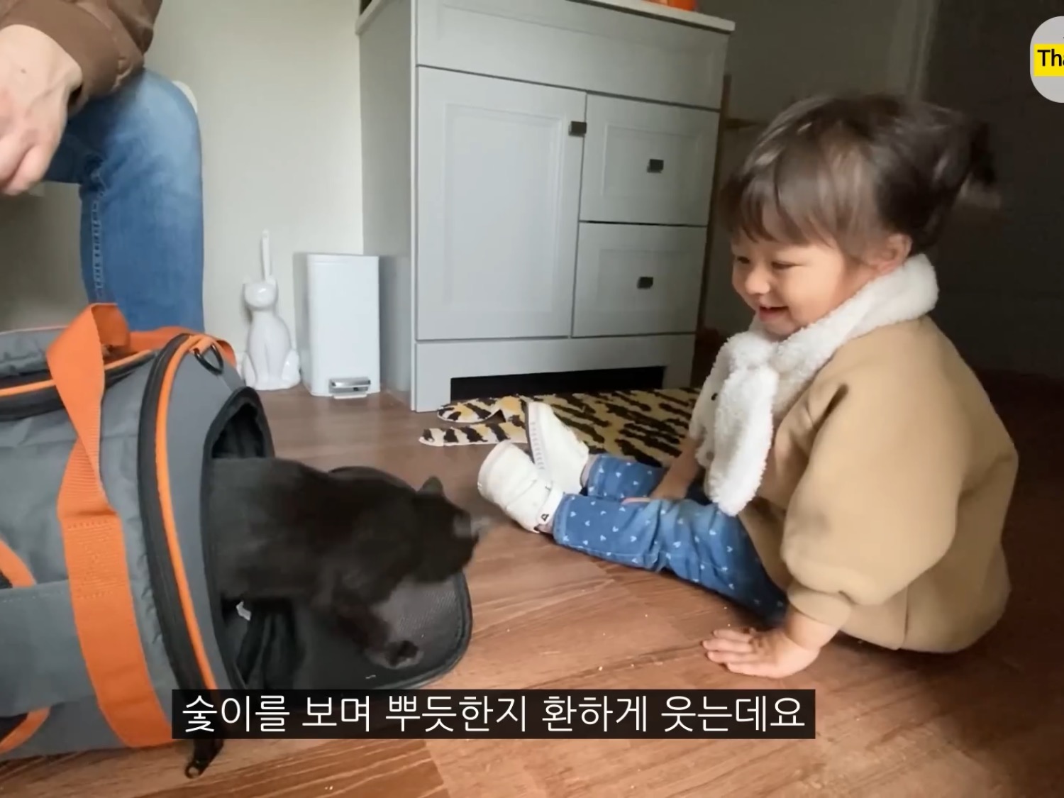 체리 자기가 숯이 주인이라고 생각하나봐 ㅋㅋㅋㅋ 병원 가는데 생이별인줄 알고 대성통곡ㅋㅋㅋㅋ | 인스티즈