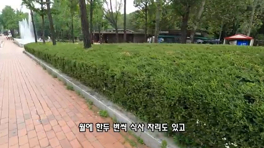 40대 중소기업 해고 시그널 | 인스티즈