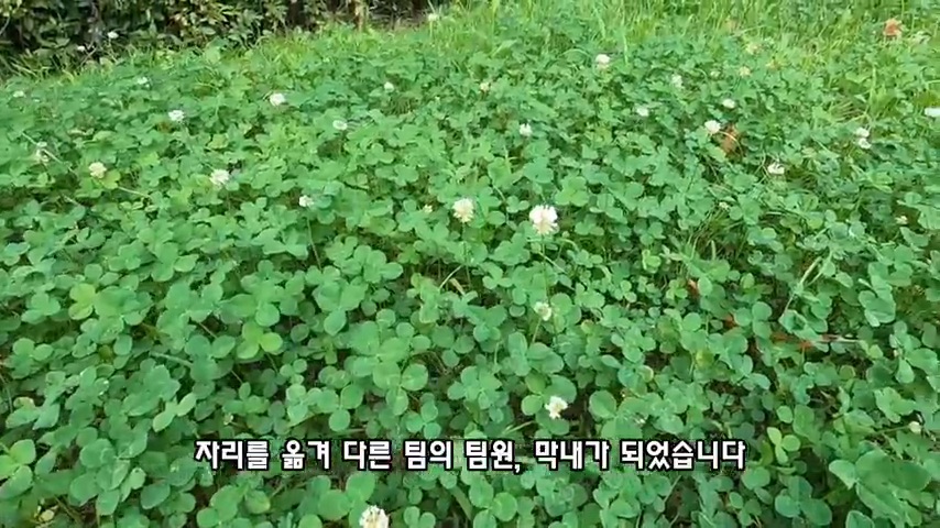 40대 중소기업 해고 시그널 | 인스티즈