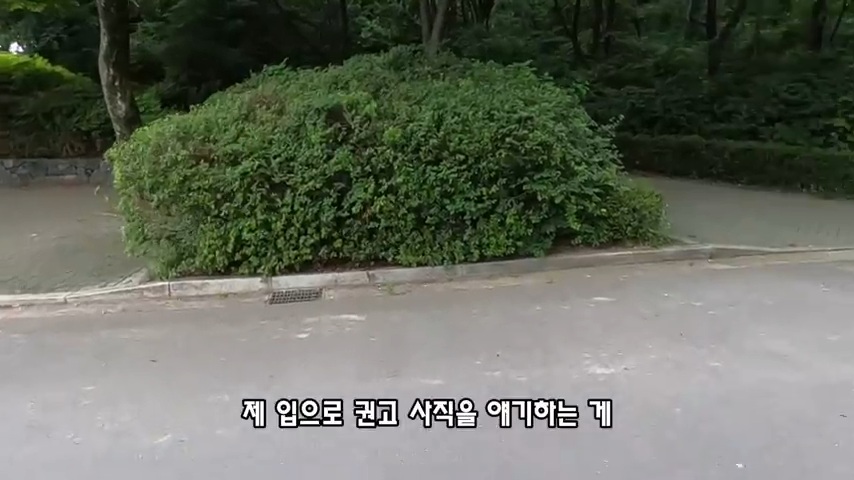 40대 중소기업 해고 시그널 | 인스티즈