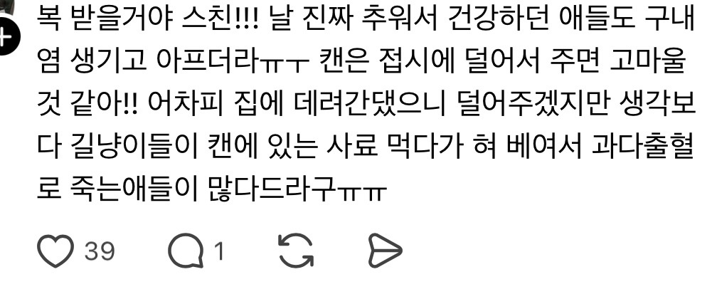 길냥이 캔사료 줄 때 주의해!!!!!! | 인스티즈