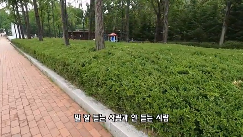 40대 중소기업 해고 시그널 | 인스티즈