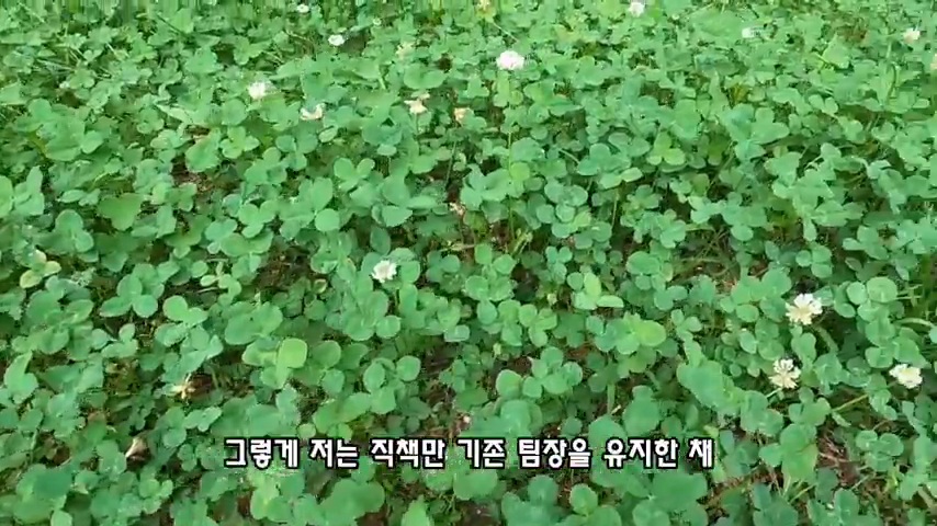 40대 중소기업 해고 시그널 | 인스티즈